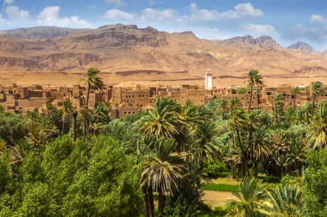 Viaje privado de 5 días: Lo mejor del gran sur y el Desierto de Marruecos